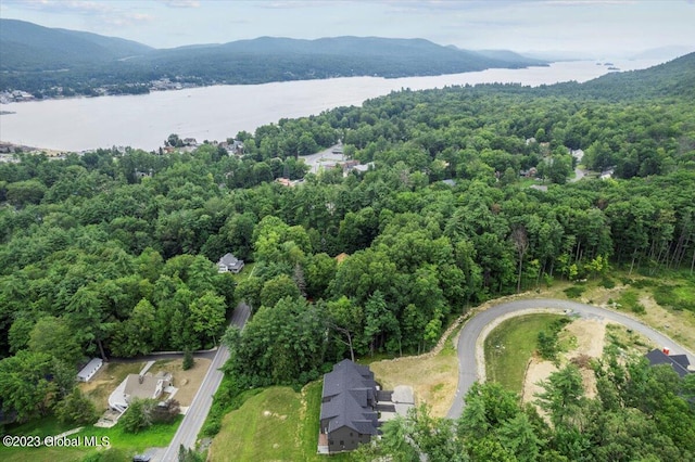 aerial view featuring a view of trees and a water and mountain view