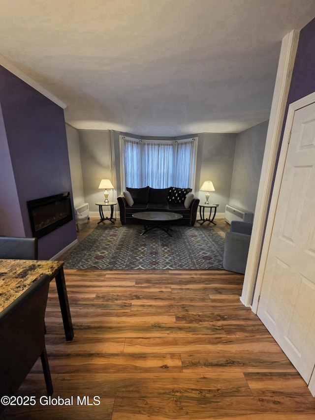 living room with a baseboard radiator, baseboards, wood finished floors, and a fireplace