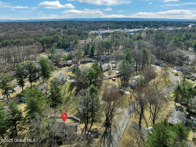 bird's eye view with a view of trees