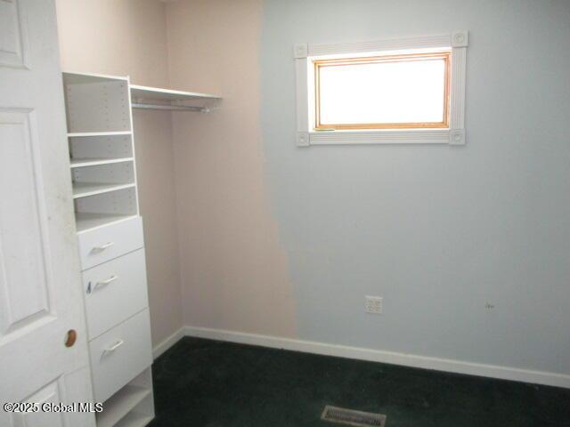 spacious closet with visible vents