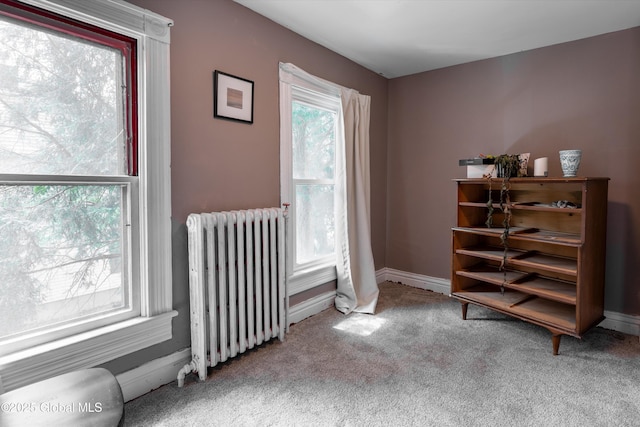 interior space with radiator heating unit and baseboards