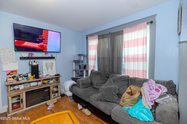 living room featuring wood finished floors