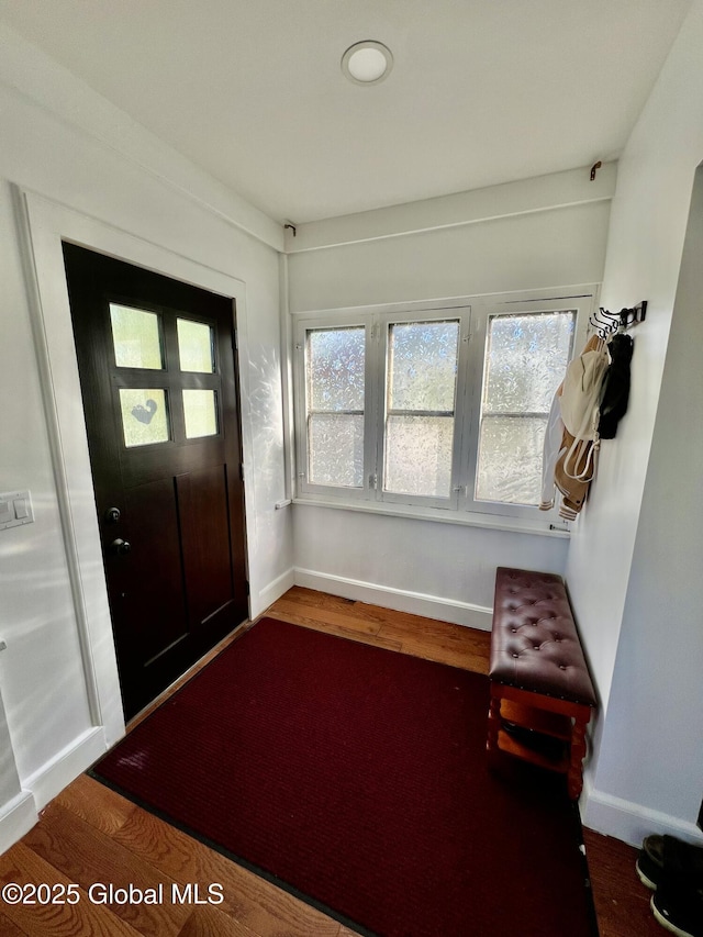 entryway with a wealth of natural light, baseboards, and wood finished floors