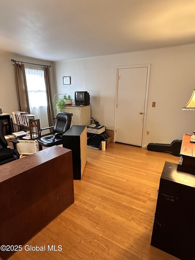 office space featuring light wood finished floors