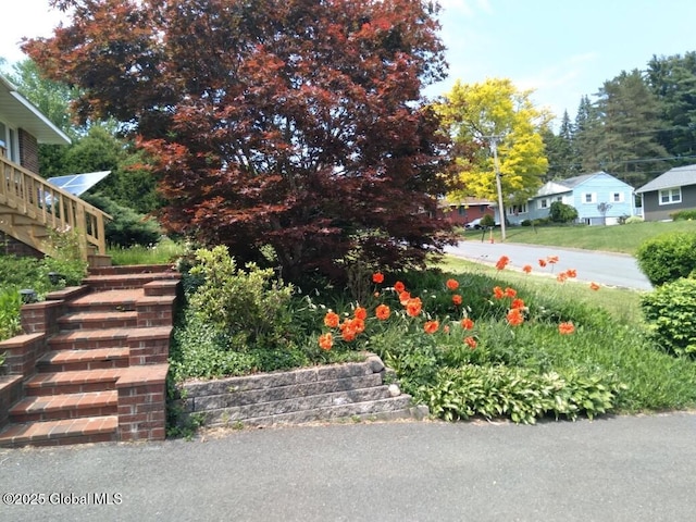 view of yard with stairway and a residential view