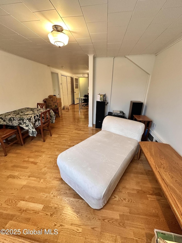 living area featuring light wood-type flooring