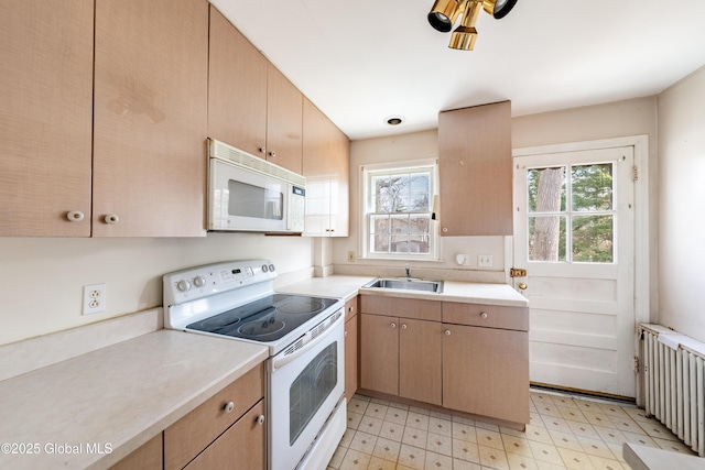 kitchen featuring a sink, white appliances, radiator, light countertops, and light floors