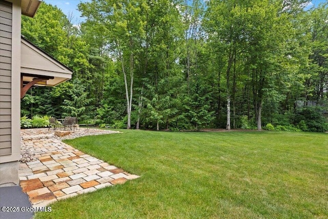 view of yard featuring a patio