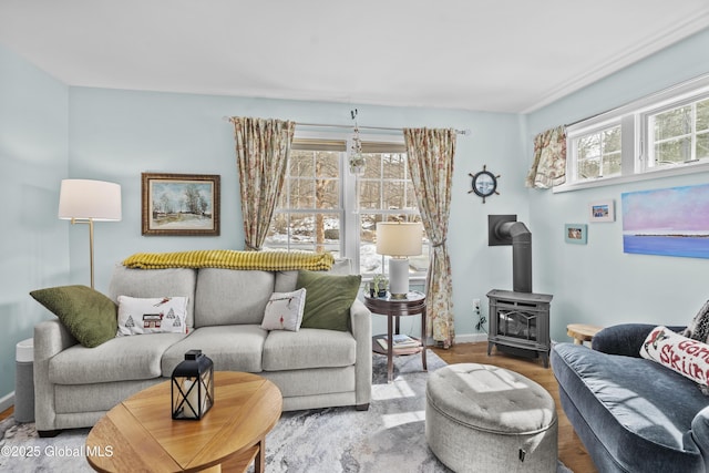 living room with baseboards and a wood stove