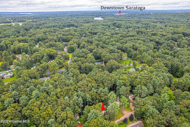 aerial view with a wooded view