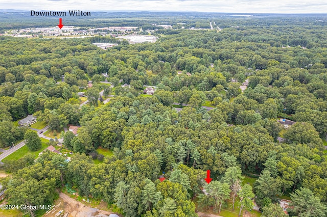 bird's eye view with a forest view