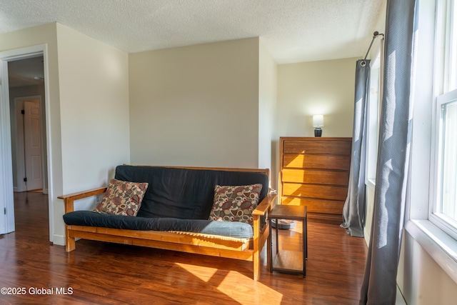 living area with a textured ceiling and wood finished floors