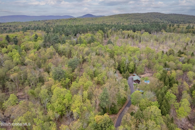 465 Barlow Rd, Bleecker, NY 12078 - aerial view of property and surrounding area featuring a heavily wooded area and mountains