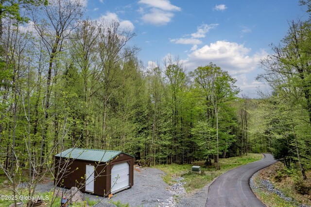 465 Barlow Rd, Bleecker, NY 12078 - view of street featuring a forest view