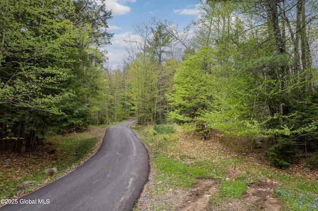 465 Barlow Rd, Bleecker, NY 12078 - view of street featuring a wooded view