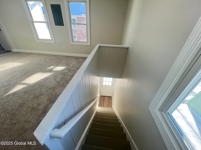 stairway with baseboards, carpet, and a healthy amount of sunlight