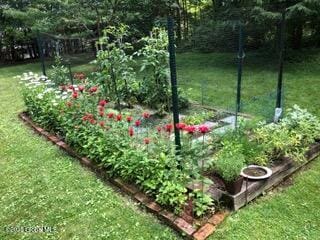 view of yard with a garden