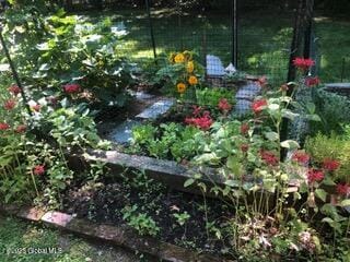 view of yard with a vegetable garden