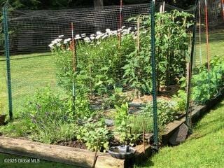 view of yard featuring a vegetable garden