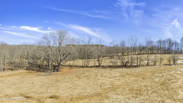 property view of mountains with a rural view