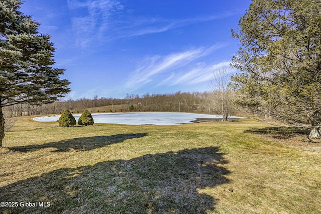 view of yard featuring a forest view and a water view