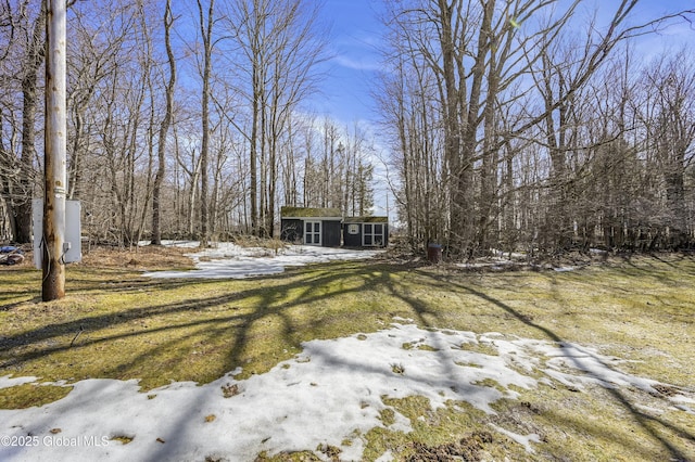 view of snowy yard