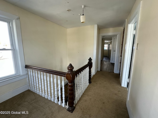 hall with a wealth of natural light, baseboards, and carpet flooring