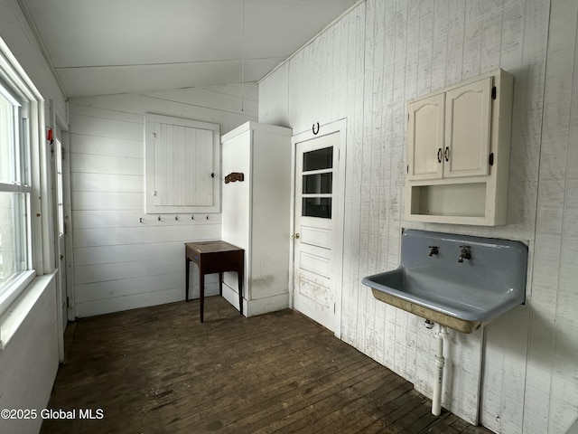 kitchen featuring a sink, lofted ceiling, dark wood finished floors, and light countertops