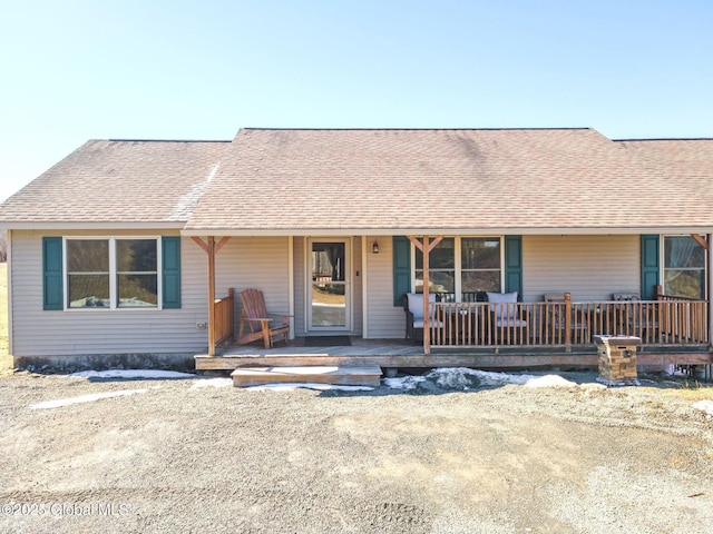 single story home with roof with shingles and covered porch