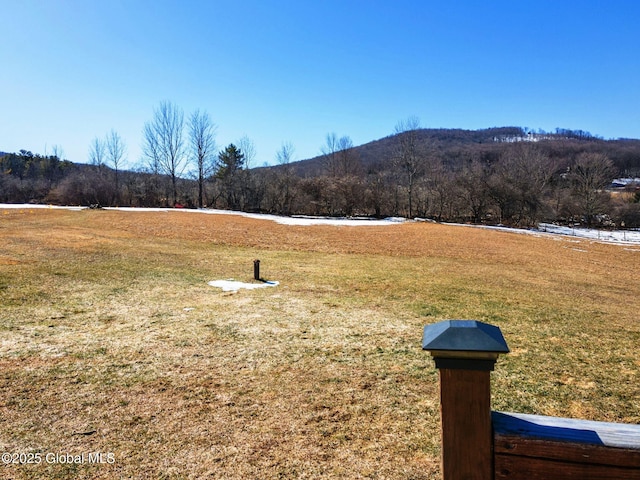 view of mountain feature featuring a wooded view