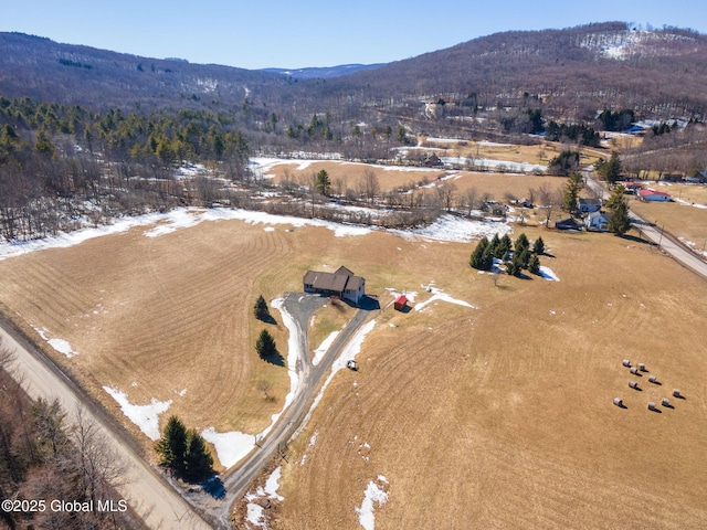 drone / aerial view with a mountain view