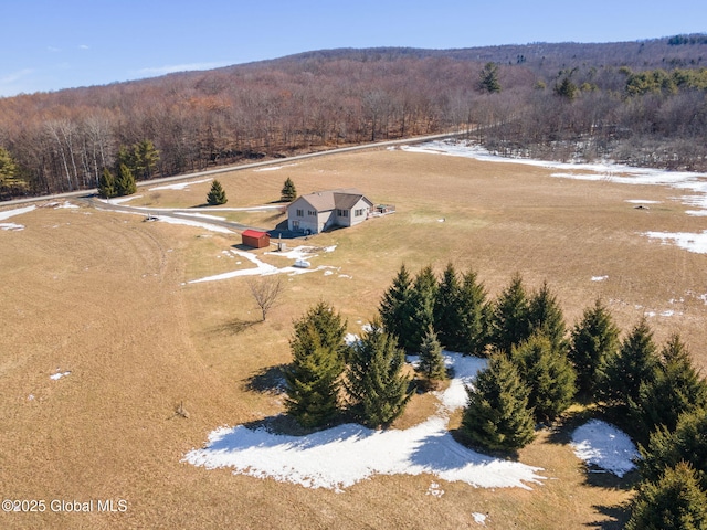 bird's eye view with a wooded view