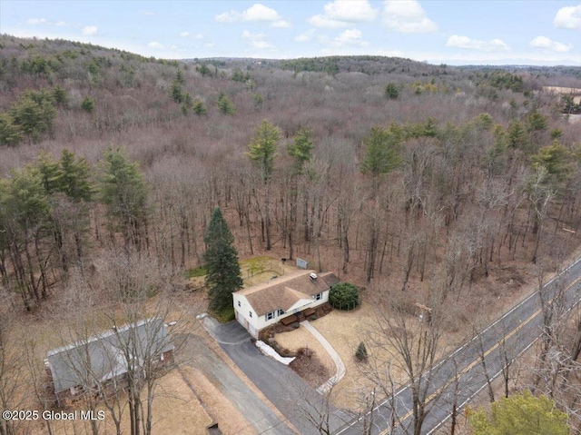 aerial view with a forest view