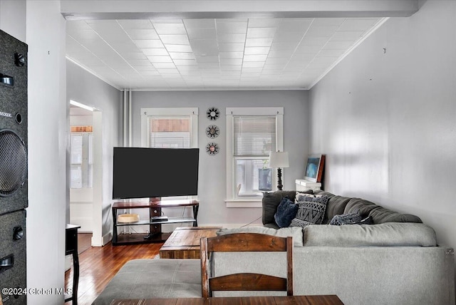 living room featuring wood finished floors and ornamental molding