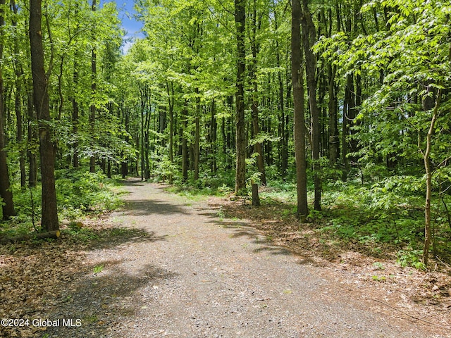 view of street featuring a wooded view