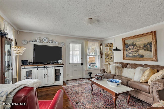 living area featuring dark wood-style floors, a textured ceiling, and ornamental molding