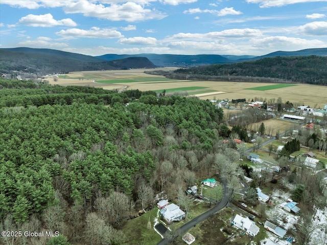 aerial view with a rural view and a mountain view