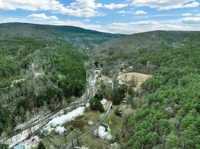 birds eye view of property featuring a mountain view and a wooded view