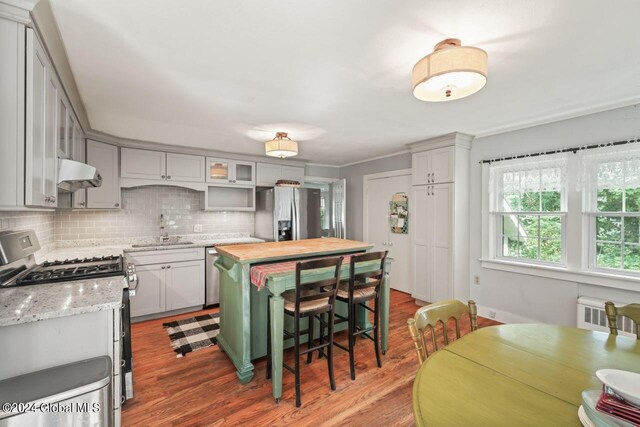 kitchen featuring wood finished floors, a sink, stainless steel appliances, under cabinet range hood, and backsplash