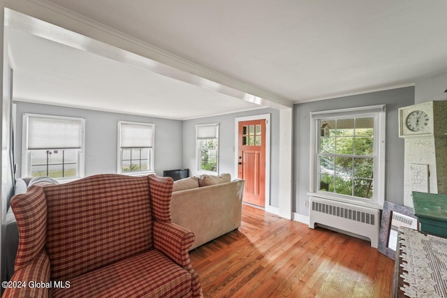 living room with radiator, wood finished floors, baseboards, and ornamental molding