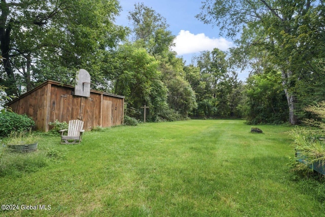 view of yard with an outdoor structure