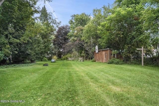 view of yard featuring an outbuilding