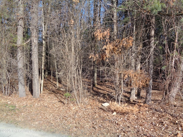 L14.2 Ghents Rd, Rotterdam, NY 12306