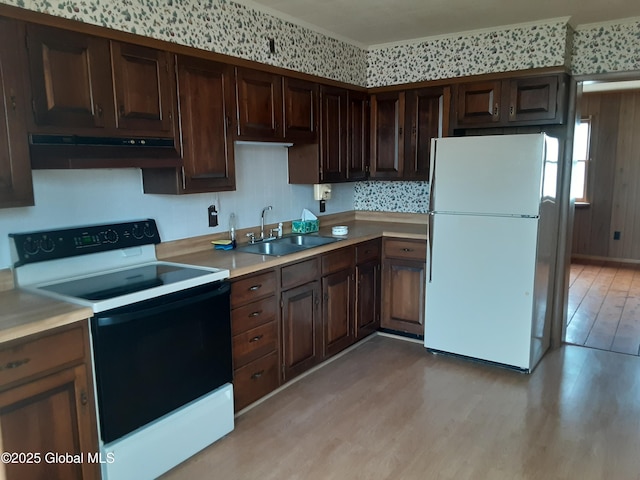 kitchen with light wood-style flooring, under cabinet range hood, range with electric cooktop, a sink, and freestanding refrigerator
