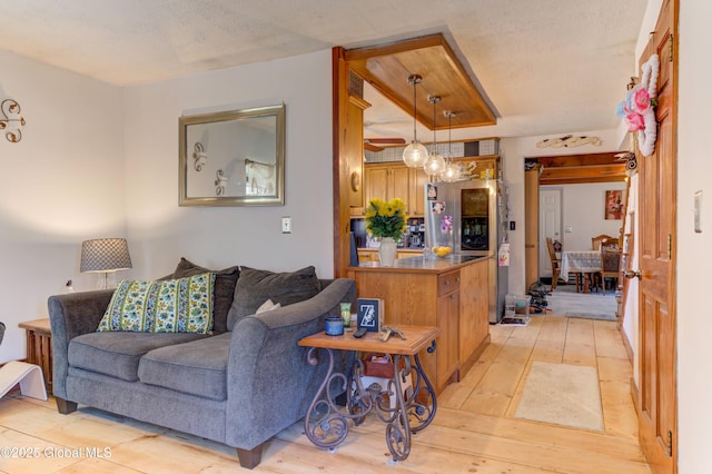 living room with light wood-type flooring and a textured ceiling