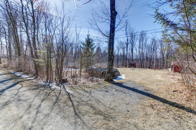 view of yard featuring a wooded view