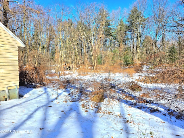 yard covered in snow with a forest view