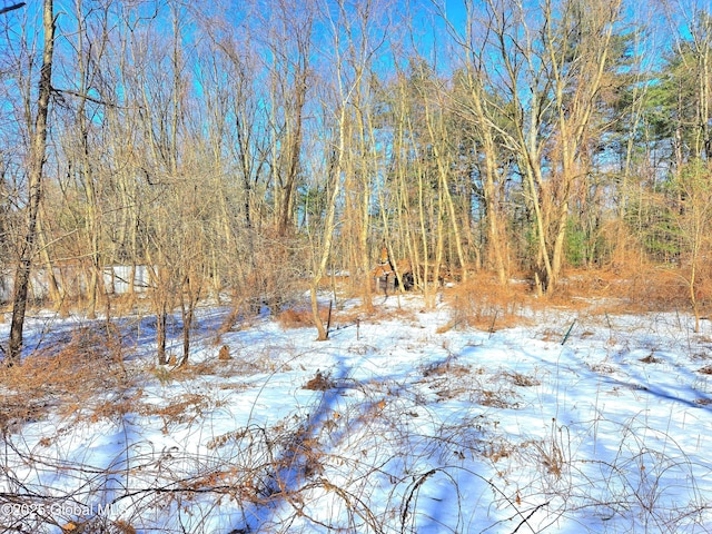 view of snow covered land