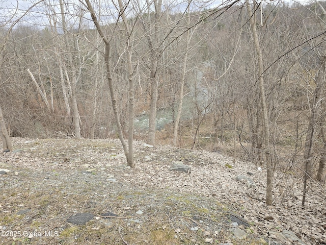 36-38 Main St, Petersburgh, NY 12138 - view of nature