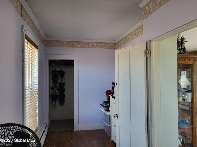 36-38 Main St, Petersburgh, NY 12138 - corridor with dark wood-style floors, baseboard heating, and ornamental molding